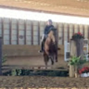 Meet your Posher, Gwen